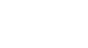The Common Man Store
